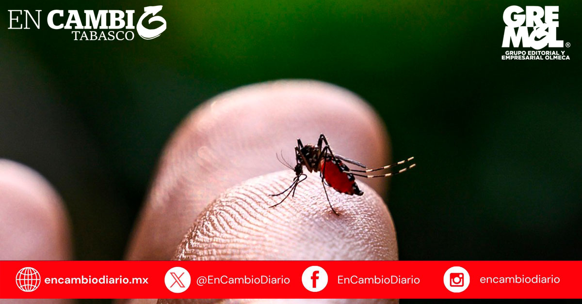Confirman primera muerte por dengue en Tabasco en lo que va del año