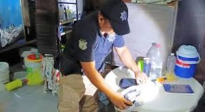 Decomiso de drogas, celulares y dispositivos electrónicos en el operativo