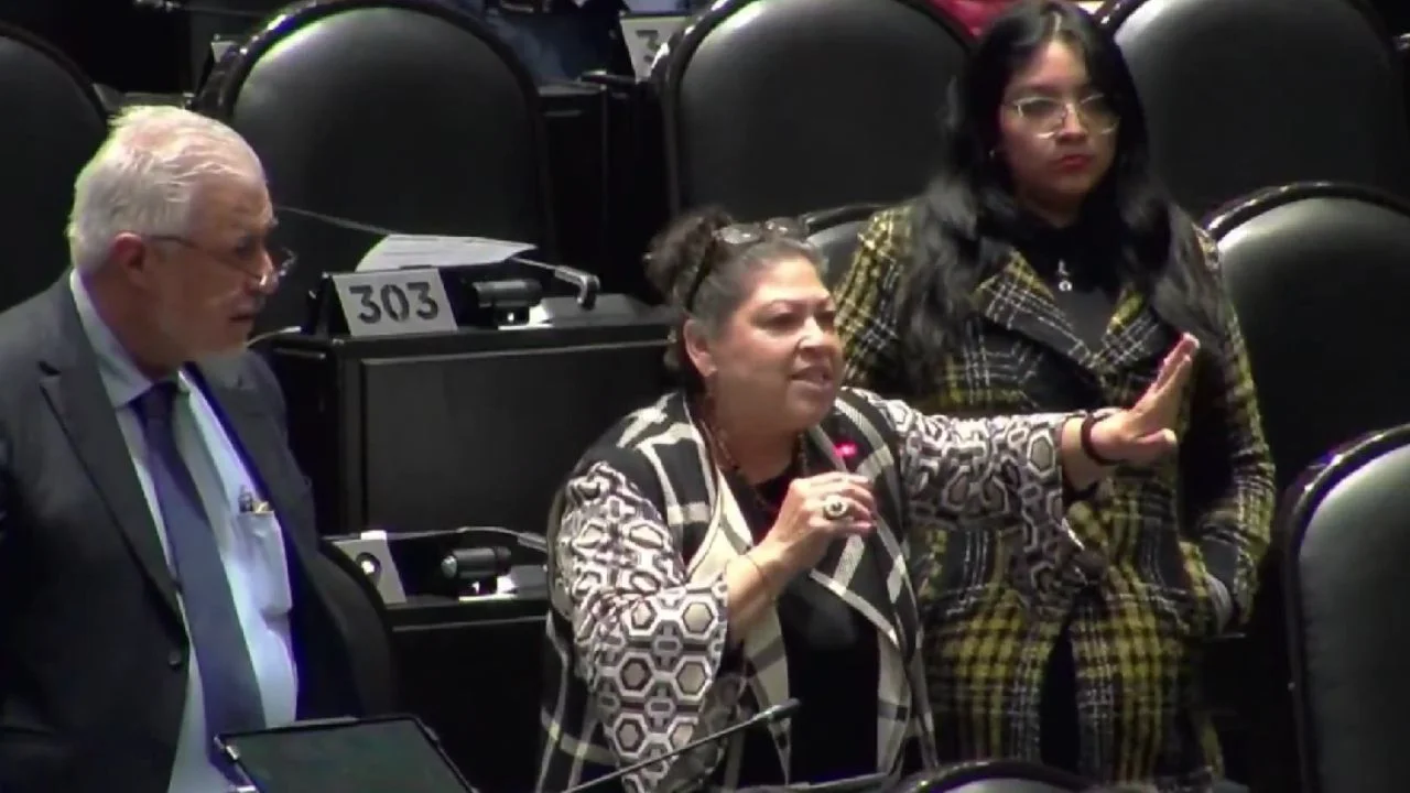 Diputada usa IA para revisar dictámenes