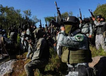 Cárteles mexicanos en África