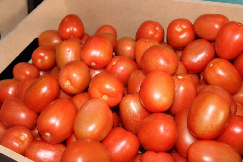 Estados Unidos pone aranceles a tomate mexicano