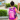 puede mi hijo faltar la ultima semana de clases