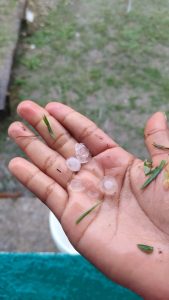 Autoridades de Protección Civil y meteorología revisaron las fotografías.