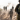 Posible alto al fuego entre Israel y Hamas