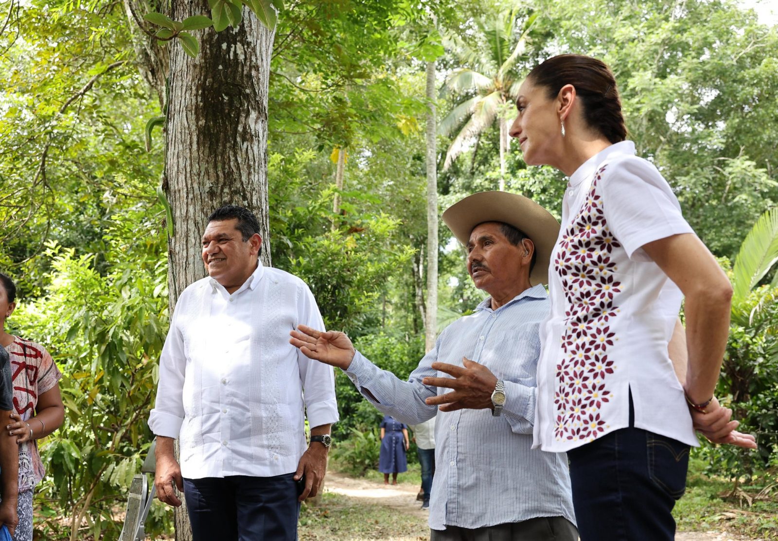 Claudia Sheinbaum y Javier May refuerzan apoyo a productores y productoras de Cacao