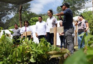 Claudia Sheinbaum y Javier May mantuvieron encuentro con productores y productoras de cacao.