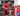 Nuevo Refuerzo: Deportivo Malacateco presentó oficialmente al delantero argentino Ayrton Sisa.