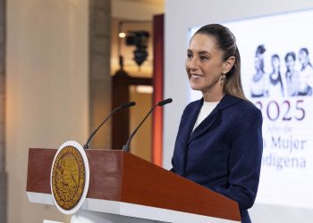 Plataforma para vigilar las aduanas de México