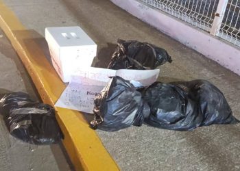 Desmembrado en Villahermosa