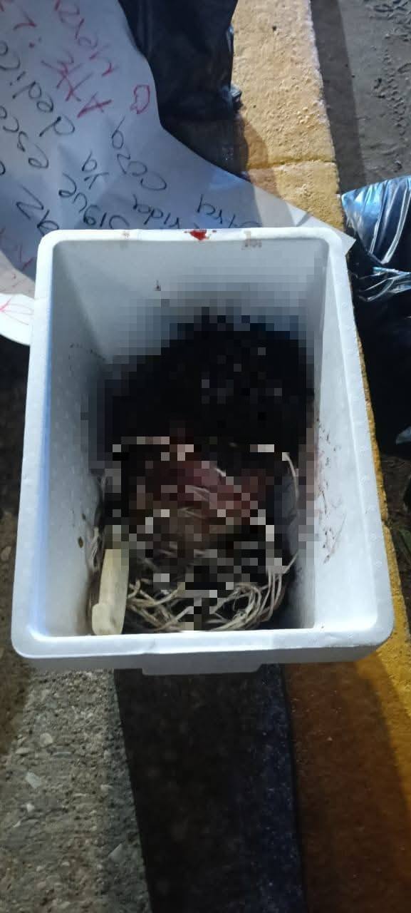 Desmembrado en Villahermosa: investigación en curso