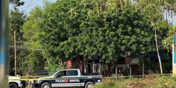 ejecutado en Bosque de Saloya