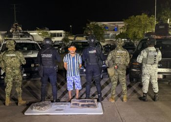 Detención de la hormiga atómica en Tabasco