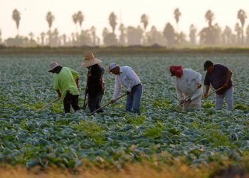 migrantes mexicanos en Estados Unidos