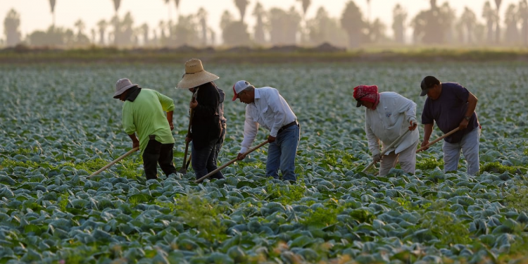 migrantes mexicanos en Estados Unidos