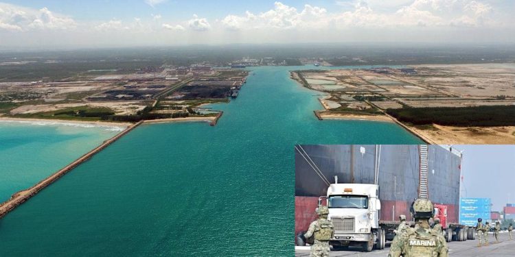 ASF advirtió de fallas en los puertos