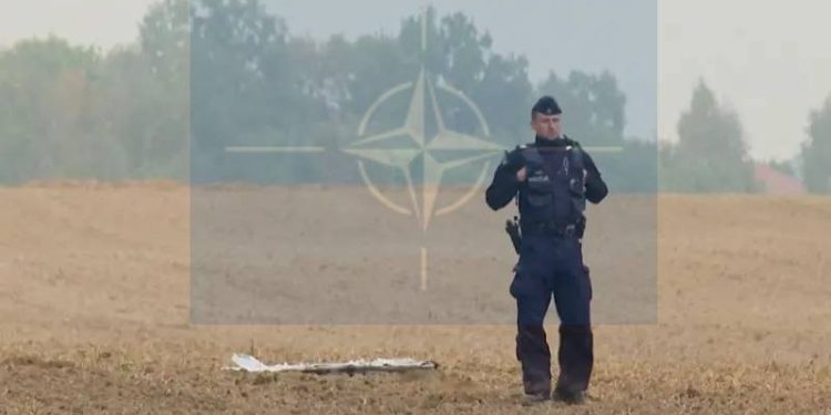 Polonia invoca artículo 4