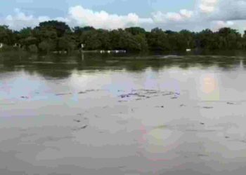 Aumento en el nivel de los ríos en Tenosique; podrían entrar en fase crítica n 15 días