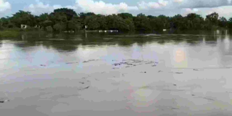 Aumento en el nivel de los ríos en Tenosique; podrían entrar en fase crítica n 15 días