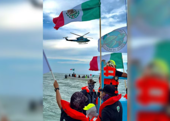 Ambientalistas contra SpaceX