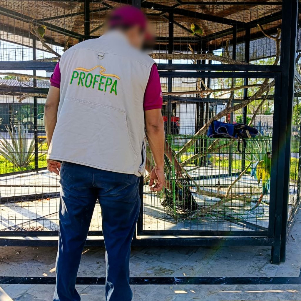 Los animales en la UMA recibirán atención especializada. Esto incluye evaluaciones veterinarias para confirmar su bienestar a largo plazo.