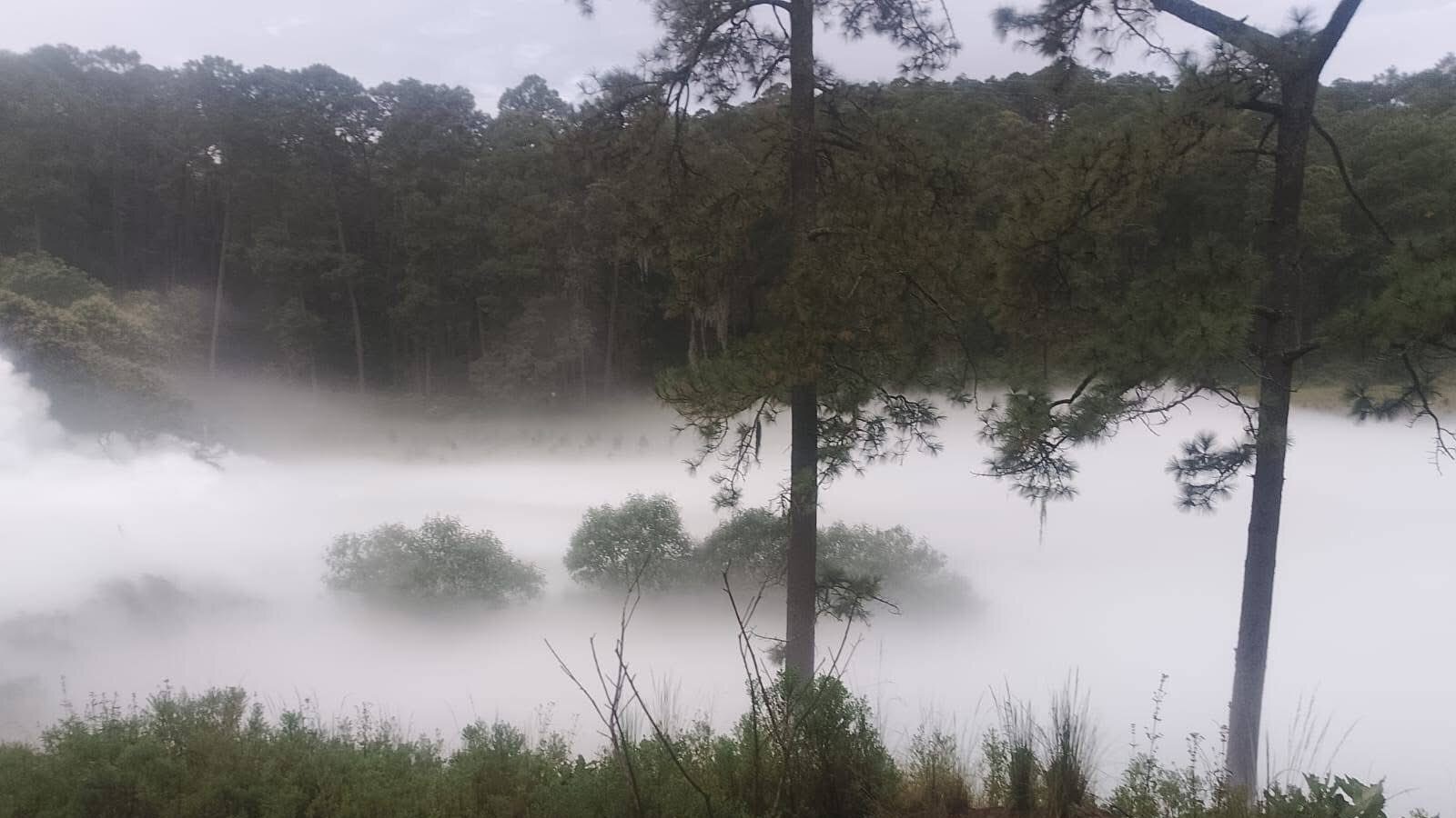 Zonas evacuadas y albergues por fuga de gas en Tlaxcala