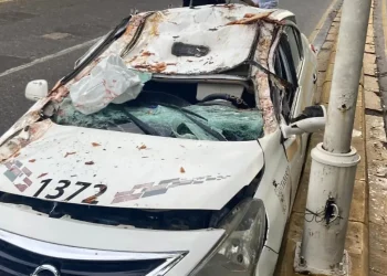 Cae árbol sobre taxi en Villahermosa; dos lesionados