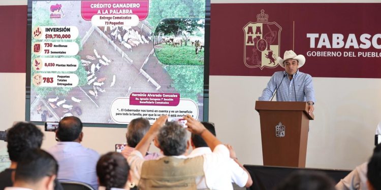 Invierte Gobierno del Pueblo más de 215.1 millones en programa Crédito Ganadero