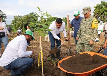 Jornada de Reforestación en tabasco