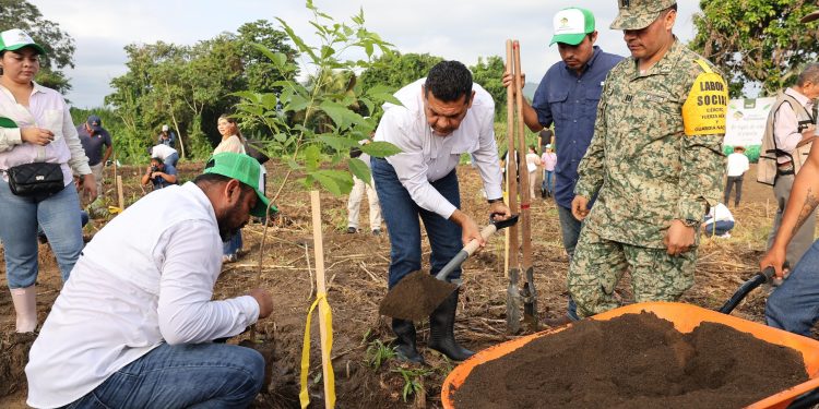 Jornada de Reforestación en tabasco