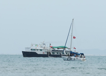 voluntarios para ayudar a Gaza