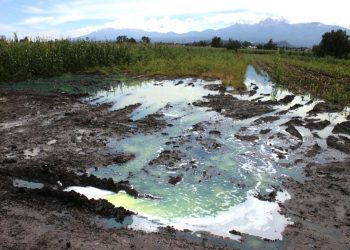 Daño económico por huachicol fiscal