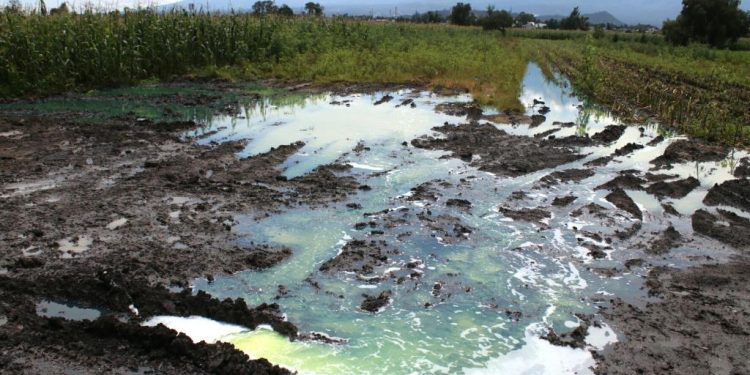 Daño económico por huachicol fiscal