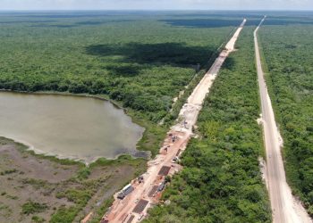 Impacto ambiental del Tren Maya