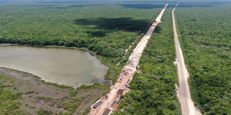 Impacto ambiental del Tren Maya