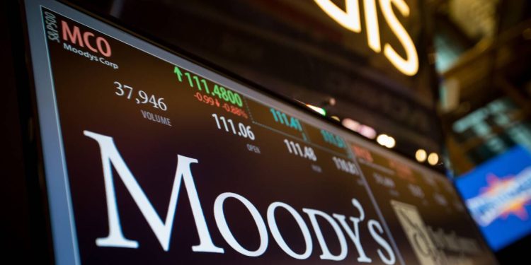 perspectiva de las empresas no financieras en América Latina