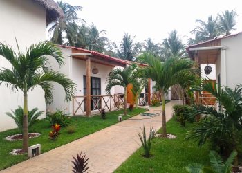 Profepa clausura predios en Huamantla y Centla