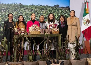 impulso al maíz nativo mexicano