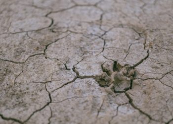 Sequía en el norte de México