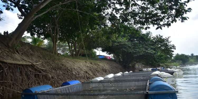 Pescando Vida en Jonuta