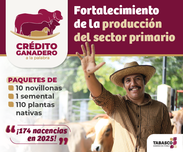 lucha contra los extorsionadores en tabasco