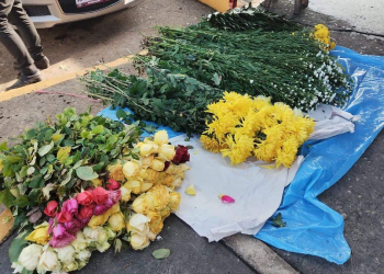 flores San Valentín Tabasco: Toneladas desde Chiapas