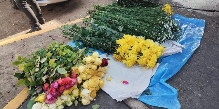 flores San Valentín Tabasco: Toneladas desde Chiapas