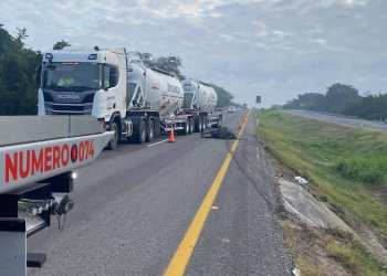 Tráiler choca con búfalos en Tabasco: conductor ileso