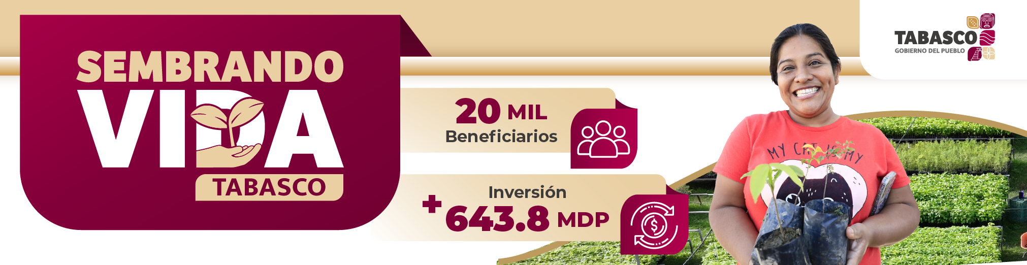 sembrando vida tabasco