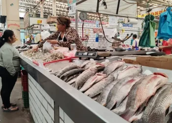 Bajas ventas cuaresma Pino Suárez Villahermosa