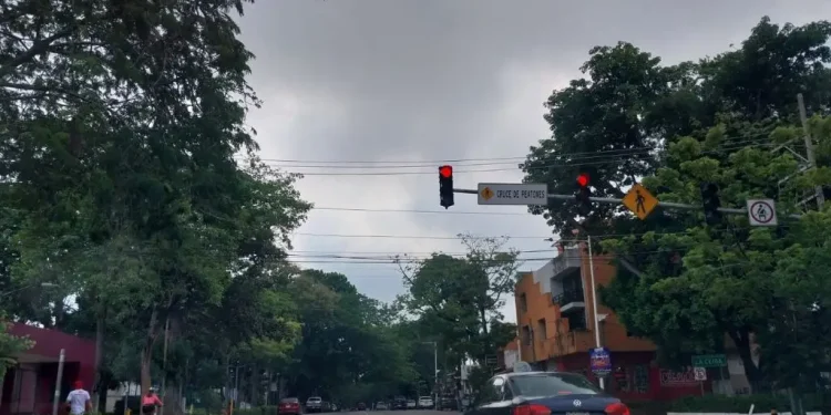 SEO Principles: Guía Clave para Posicionarte en México