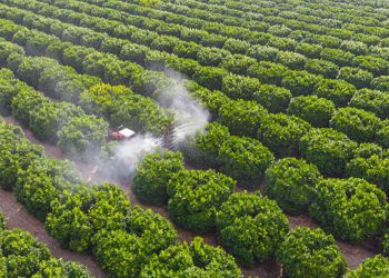 Rusia suspende exportaciones de fertilizante