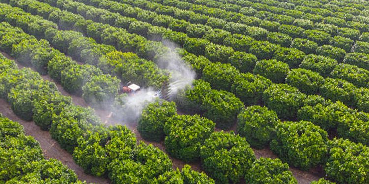 Rusia suspende exportaciones de fertilizante