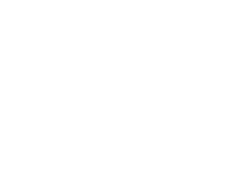 Sargazo en Playa del Carmen: Crisis Turística