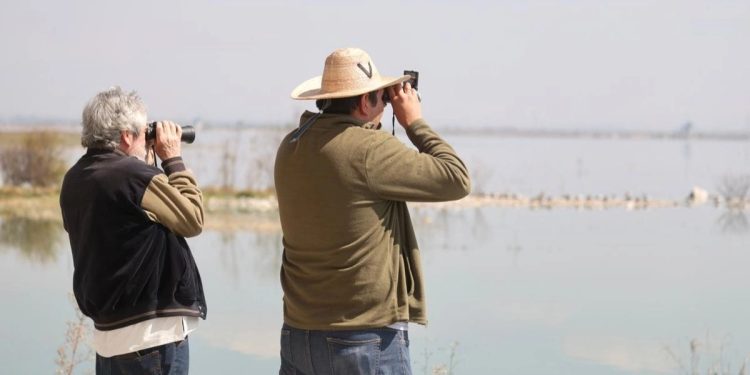 Parque Ecológico Lago de Texcoco